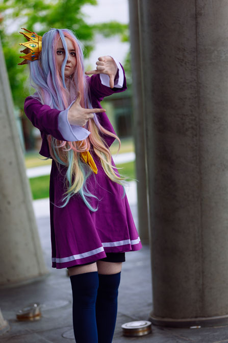 shiro planning next move